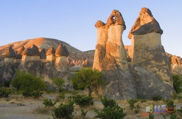 world-pictures-nature-new-65