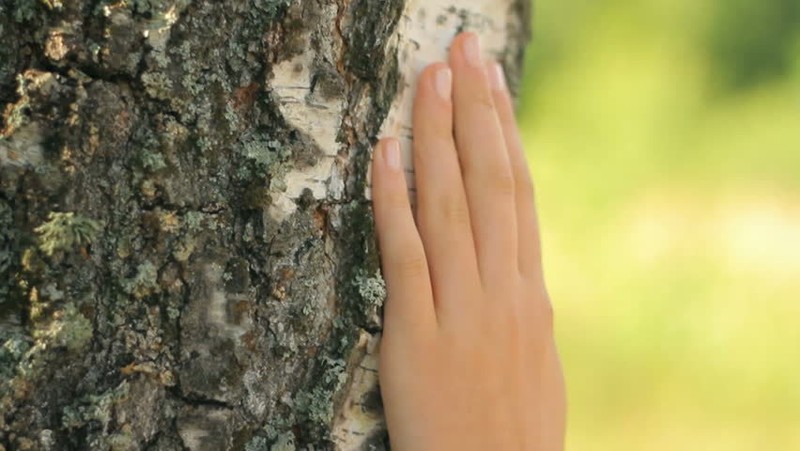 20170124-4106-1o4low1