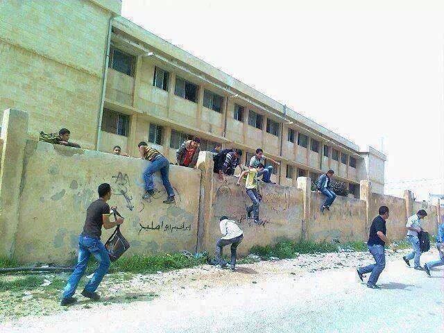 1235280_626518660725981_715429999_n