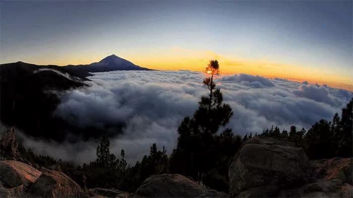 20160618-3618-6b6rjp