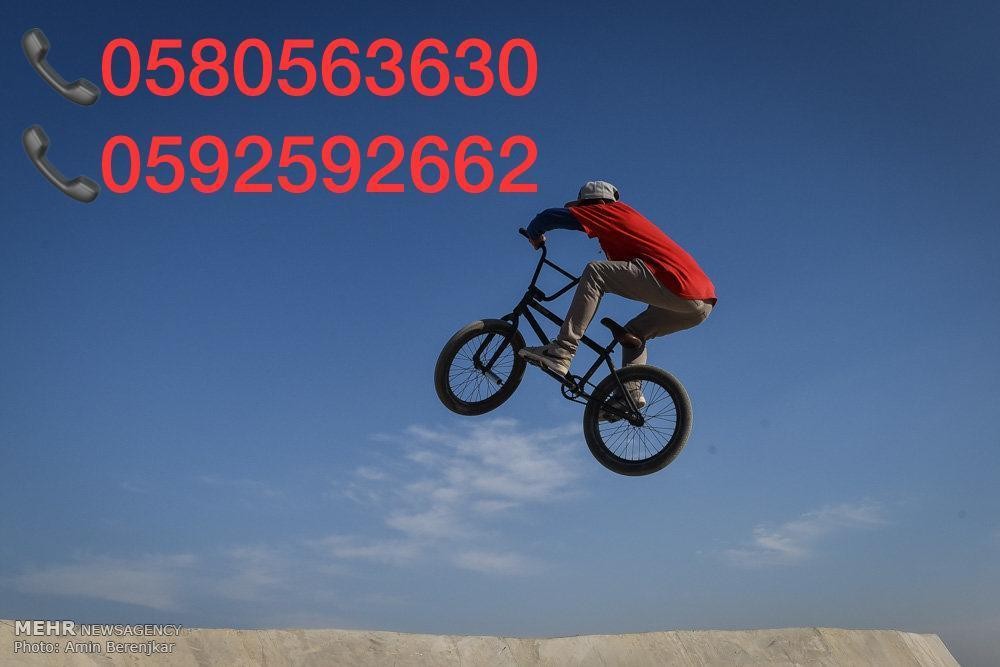 0580563630 0592592662 l