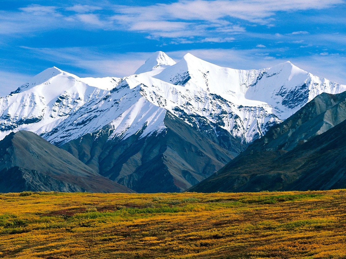 Denali_National_Park__Alaska