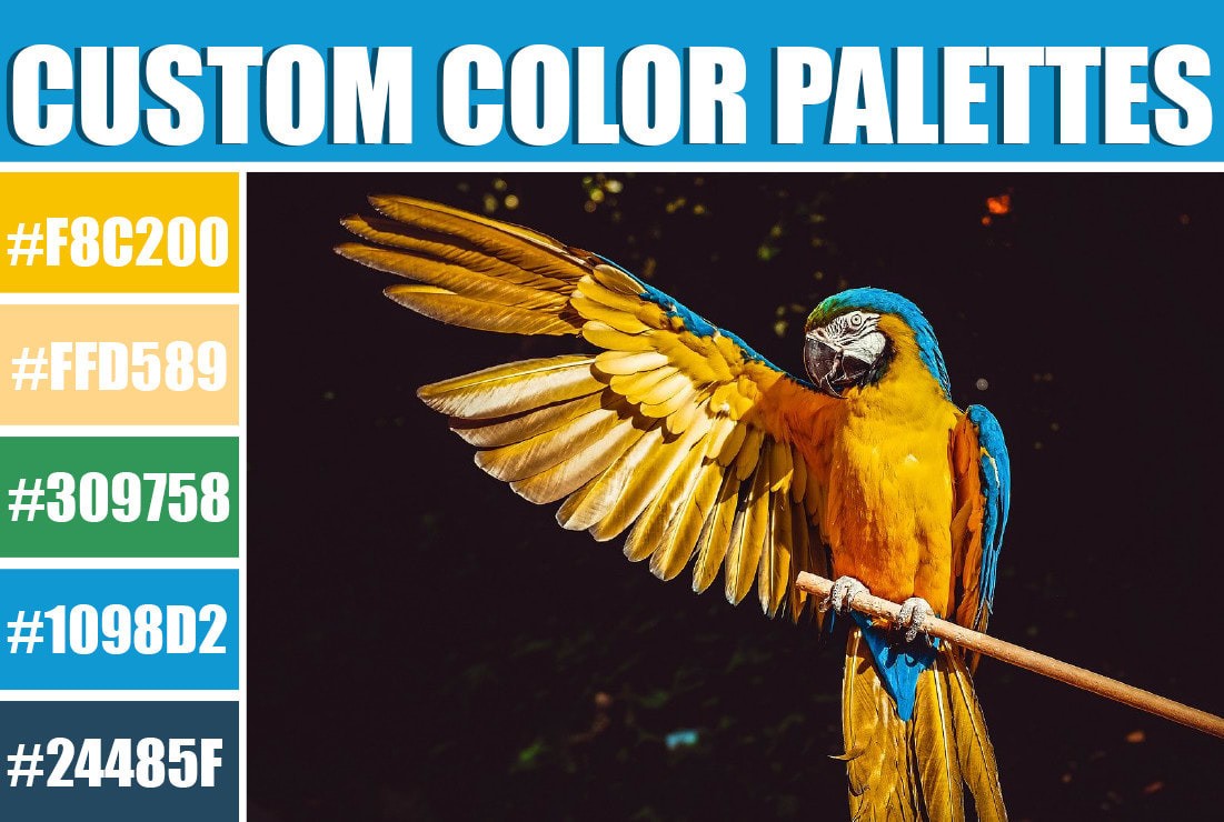 create-a-custom-color-palette-for-your-brand