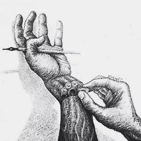 10896969_1589790681233937_1348834447617850279_n