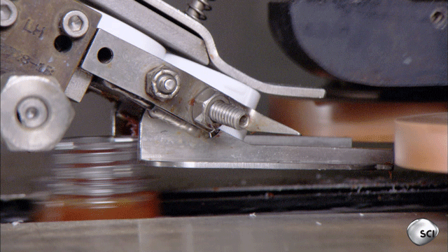 20160607-14629-13jaolb