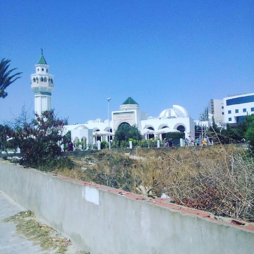 20728215_10212331164705816_5700510565243881507_n