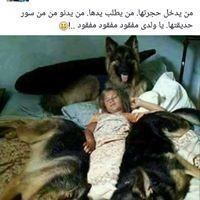 18767610_1577757722245613_575622816542517335_n