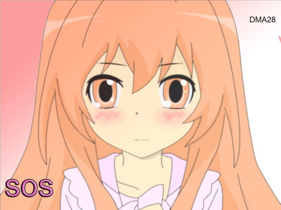 12360155_1651898511726260_4798246207814592872_n