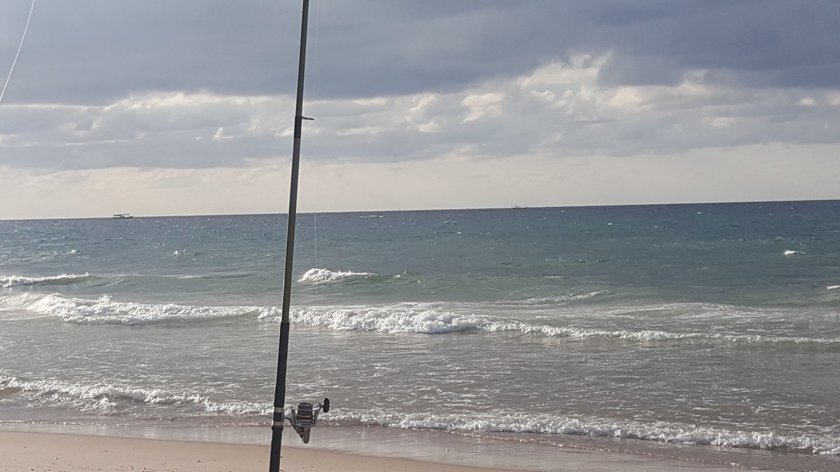 ٢٠١٦١١١٥_١٥٠٥٤٥