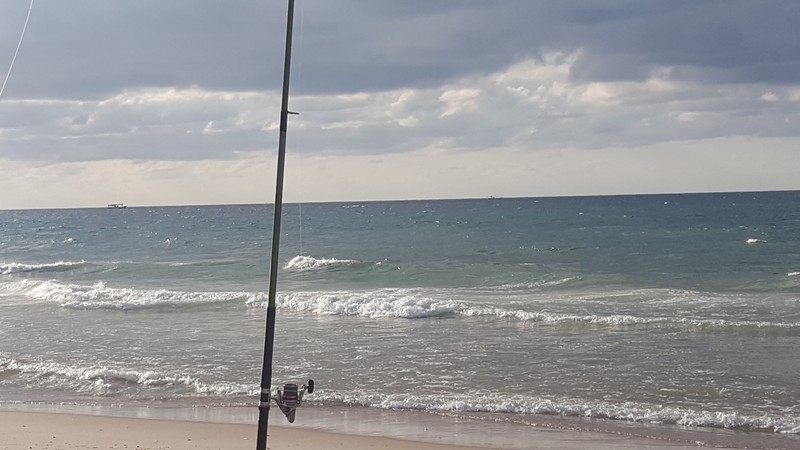 ٢٠١٦١١١٥_١٥٠٥٤٥