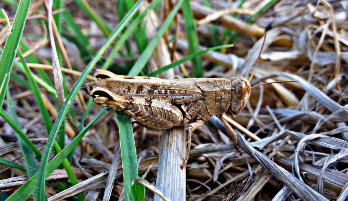 PicsArt_11-19-10.42.59