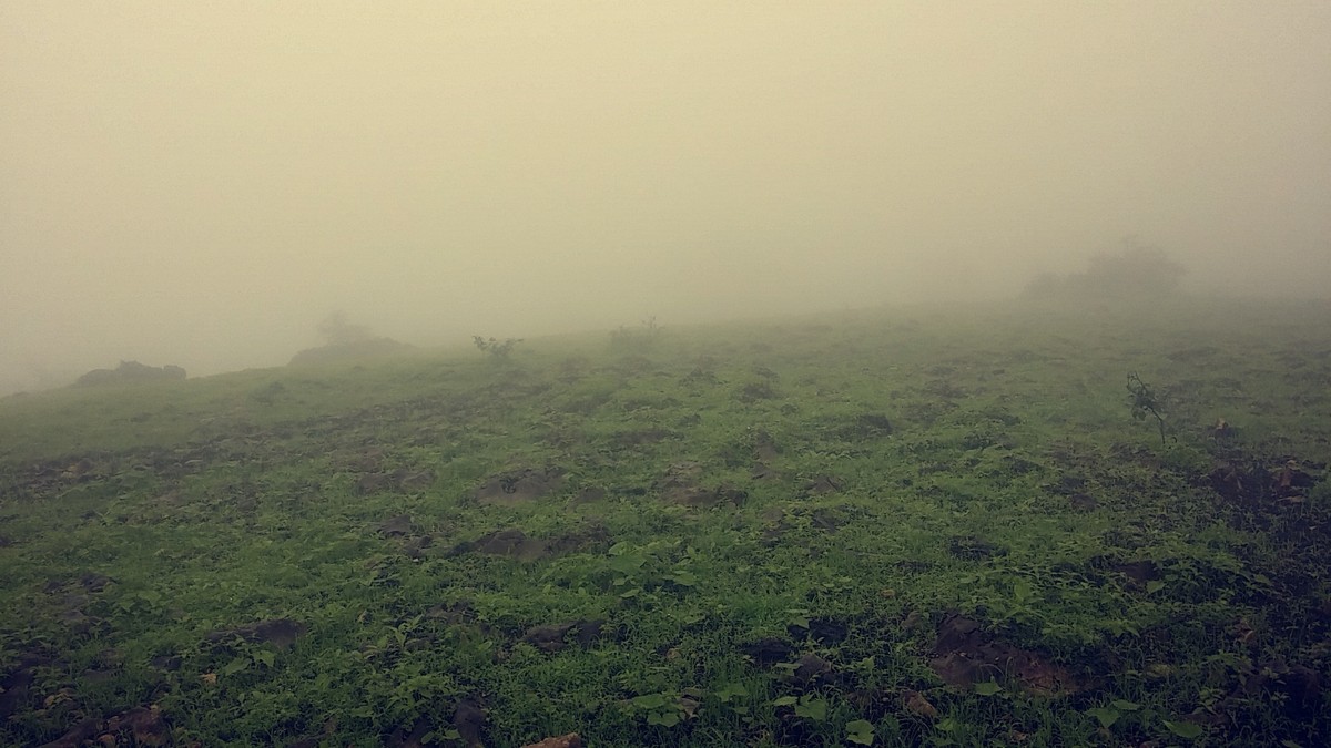 Snapchat-6813796717029995771