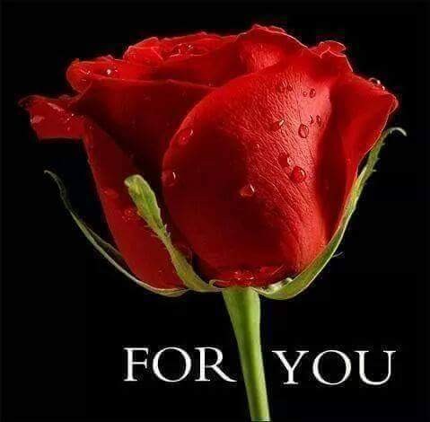 received_1614217625456647