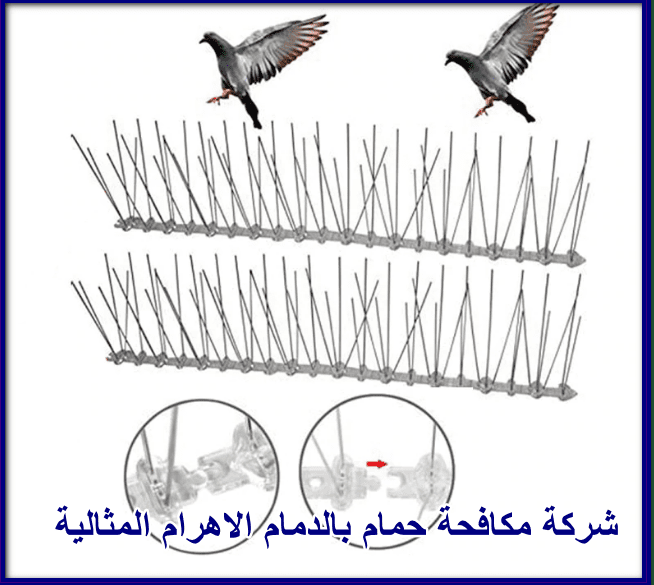 ط§ط¶ط؛ط· ط¹ظ„ظ‰ ط§ظ„طµظˆط±ط© ظ„ط±ط¤ظٹطھظ‡ط§ ط¨ط§ظ„طط¬ظ… ط§ظ„ط·ط¨ظٹط¹ظٹ