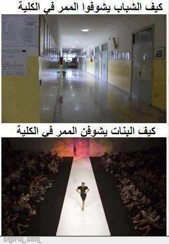 11529_739902279357171_910438689_n