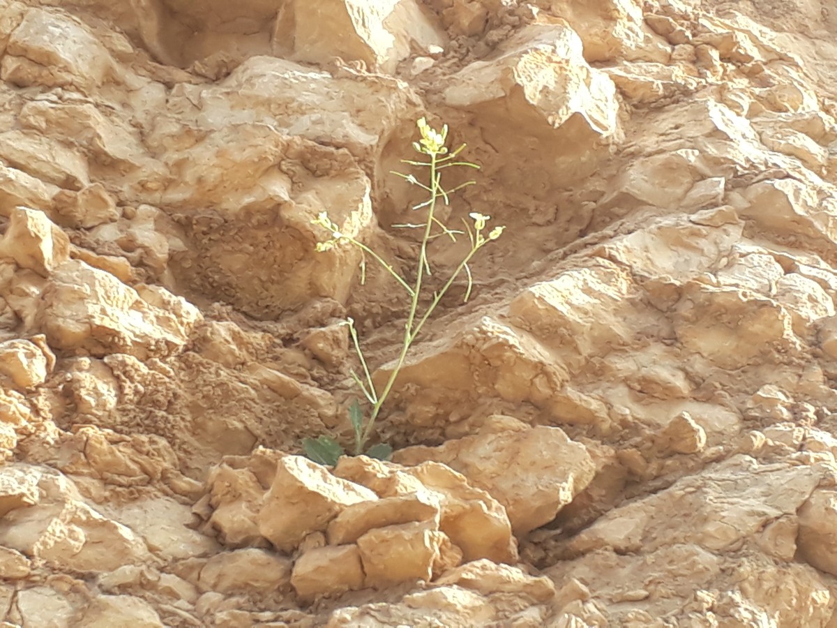 20190228_165520