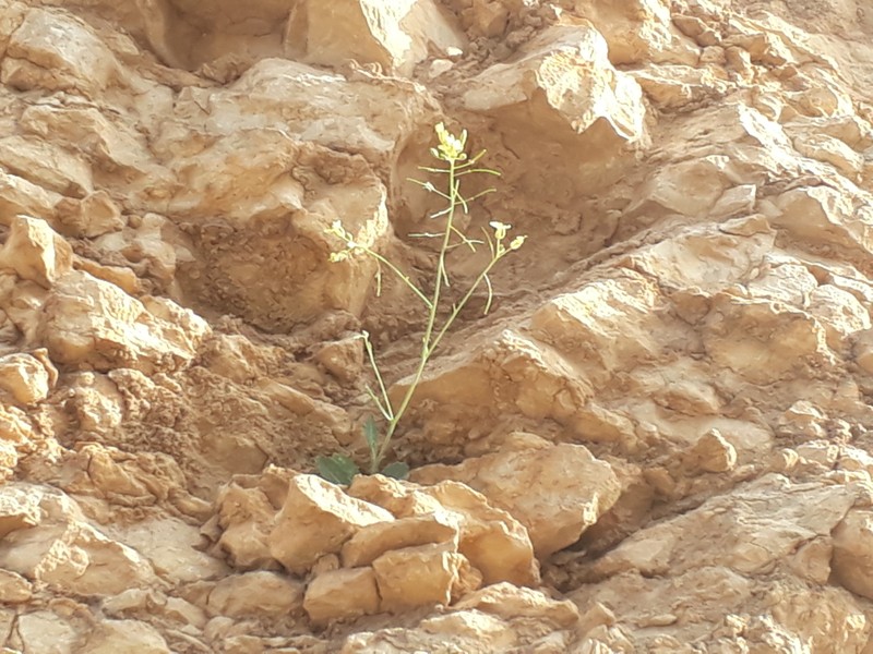 20190228_165520
