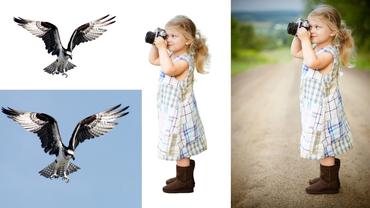 Amazing_Bird_with_Baby