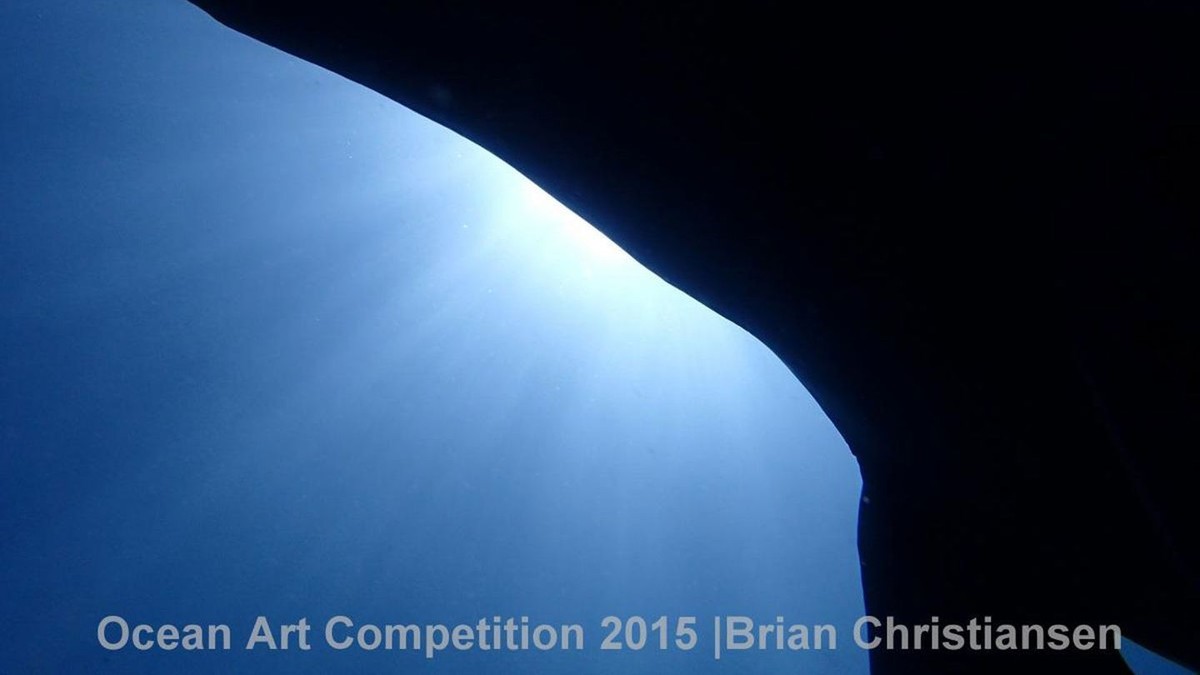 http---mashable.com-wp-content-gallery-underwater-marine-photography-12
