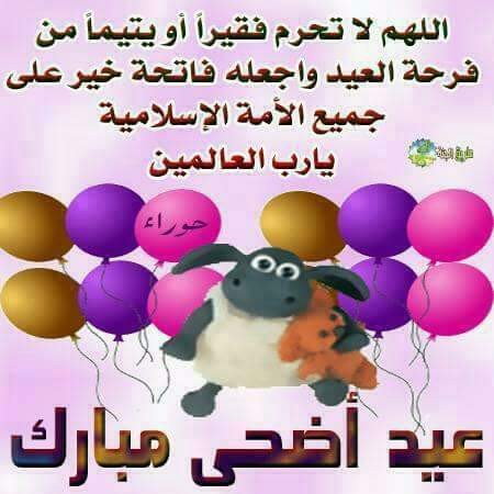 14192630_888282487969221_349904868089181466_n