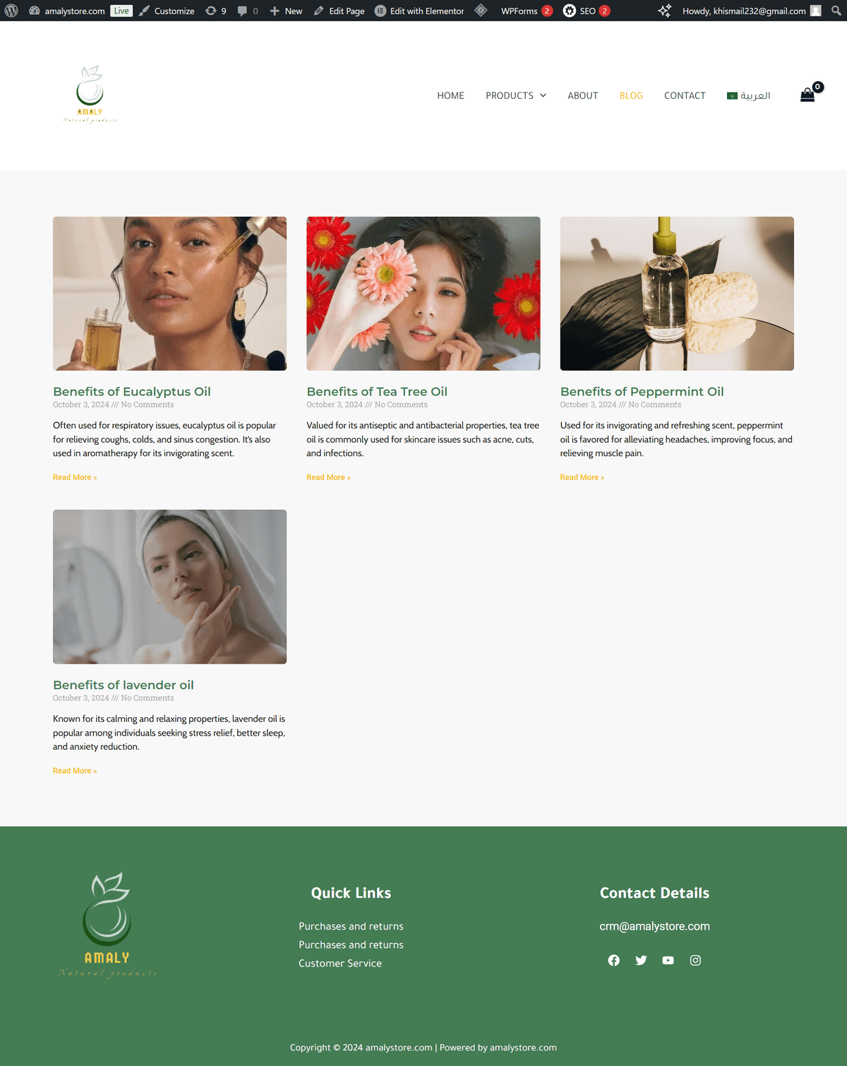 screencapture-amalystore-blog-2024-10-06-00_04_37