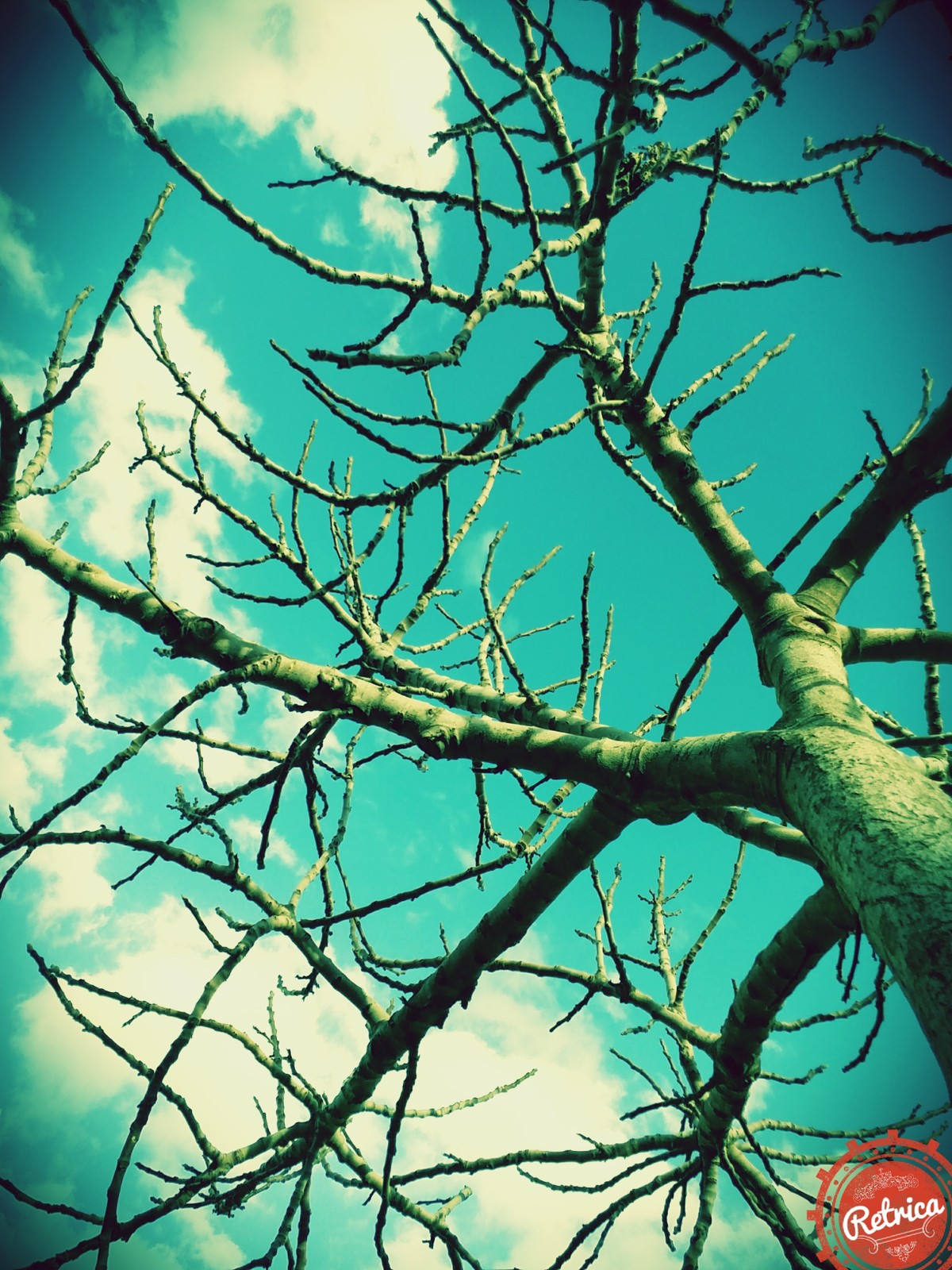 IMG_٢٠١٦٠٢٠٦_١٥٤٣٥٦