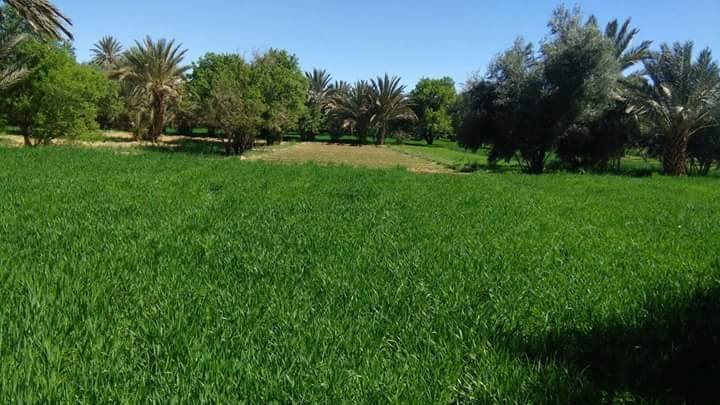 .facebook_1493586652263-1