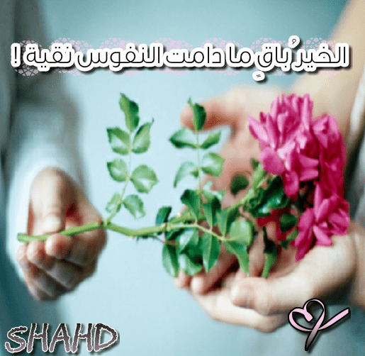 Screenshot_2017-05-06-16-37-13-1-1