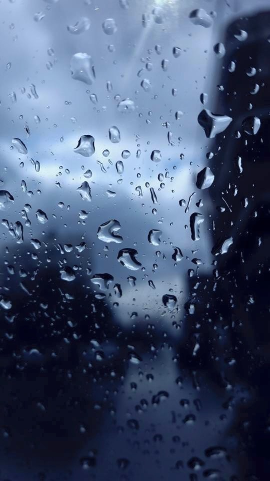 1914115_941200689305797_9156941324791166833_n