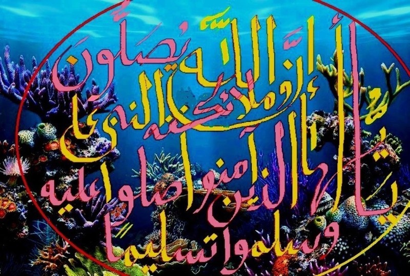 262553_451574921599765_16530090_n