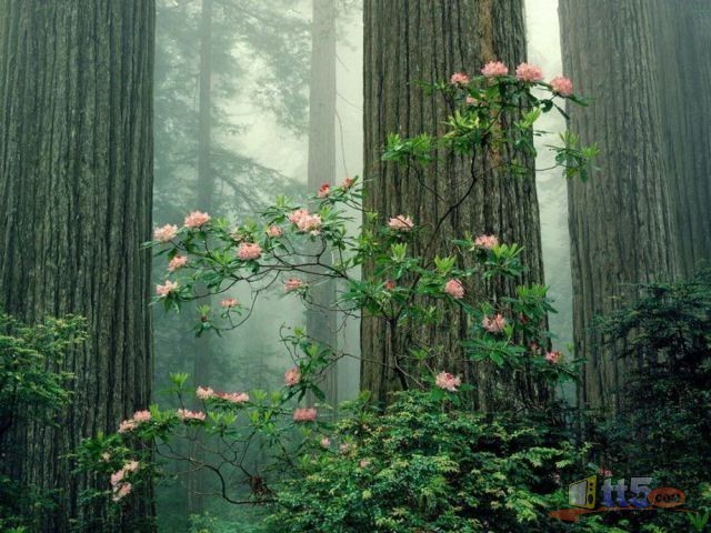 world-pictures-nature-new-36