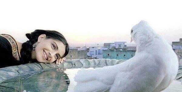 13241232_1277763642253566_8030206856190776132_n