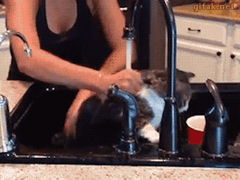 20160611-28155-jn9qeh