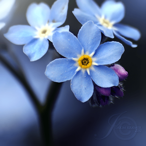 a63f0de1d27516832f2ce1474efc6be4