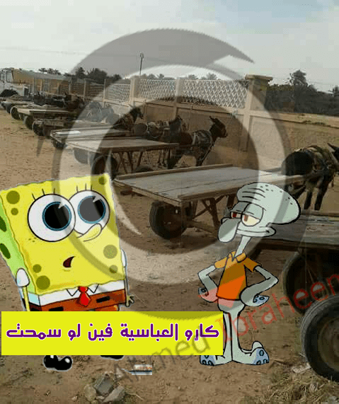 خمسات2