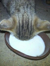 18119208_10211329329900572_2963388174242735181_n