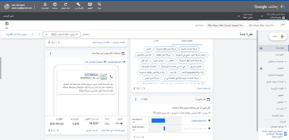 نتائج الحملة اليوم 8/30شيب_بيك_2 
