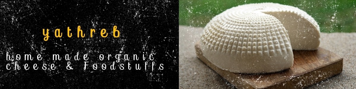 Logopit_1553241628207