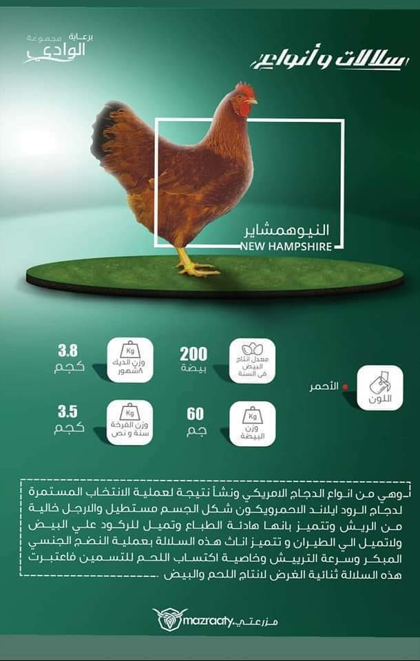 FB_IMG_1550854316254