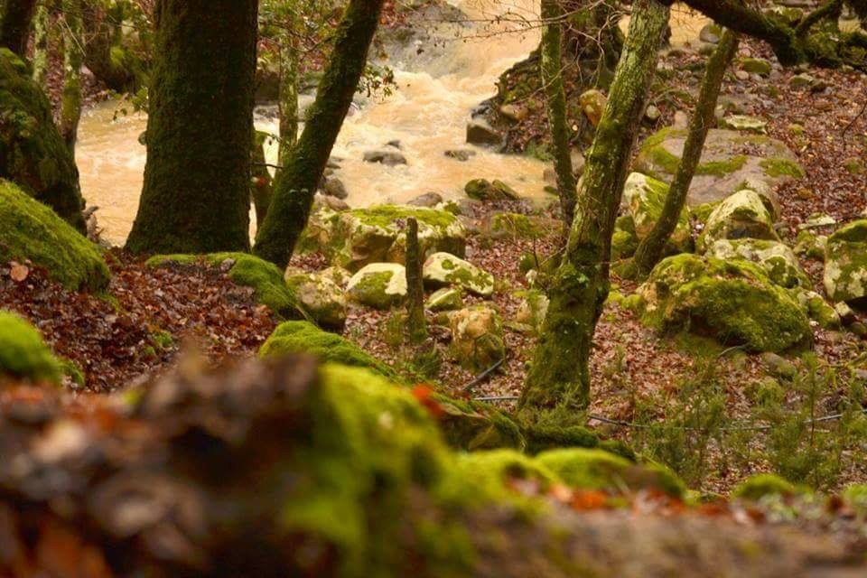 Randonné_à_Oued_Zen___Ain_Draham___0