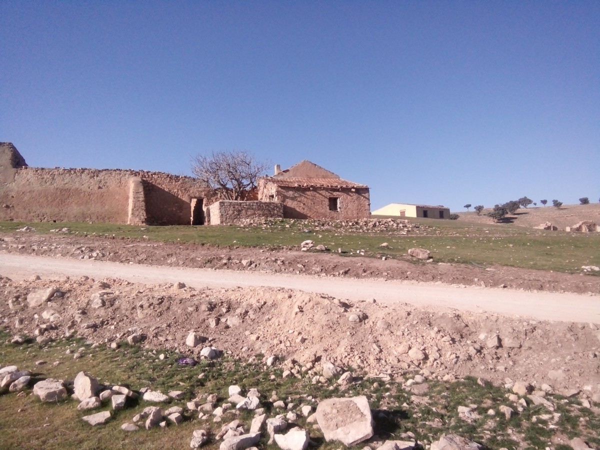 IMG20190318090501