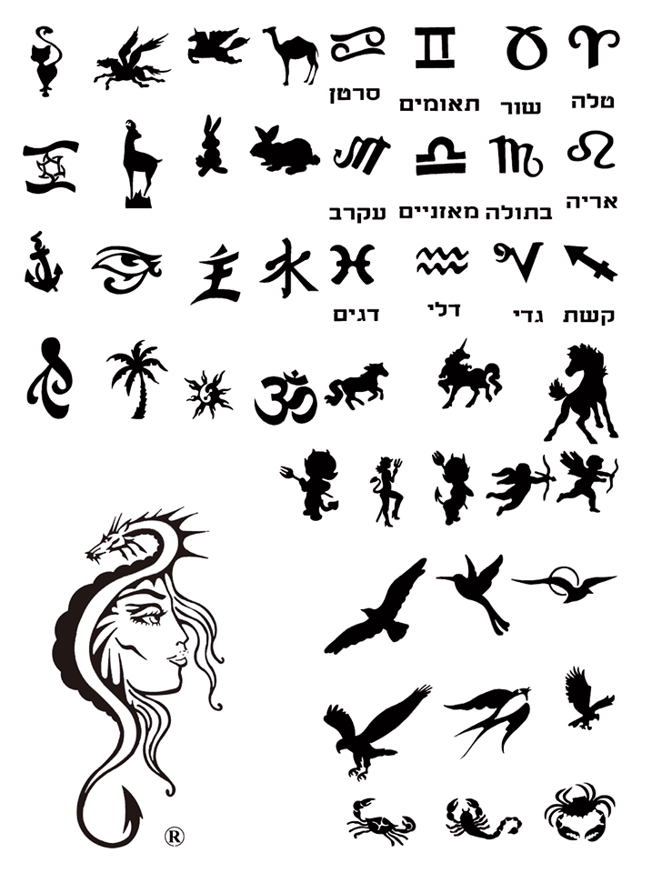 11896138_794385117347725_7223870630555514496_n