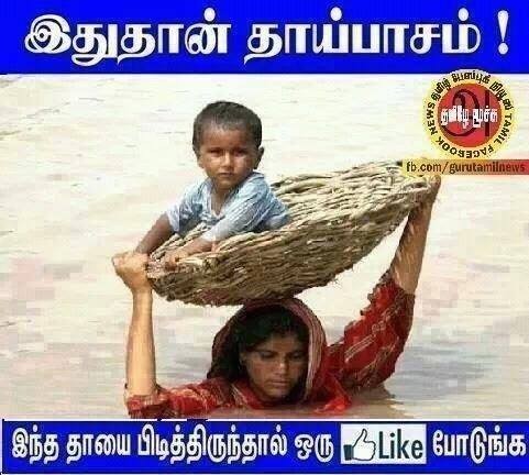 923182_302191186596262_1737523990_n