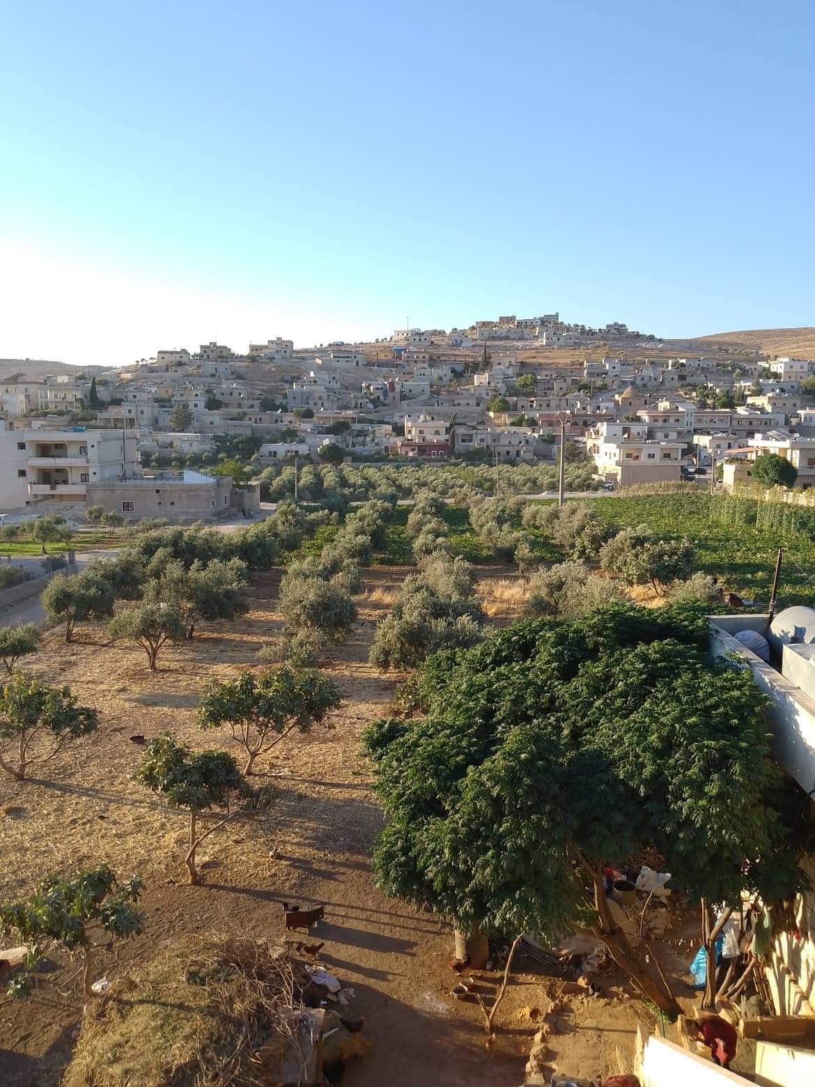 received_583156653522727