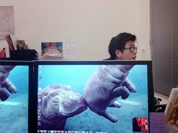 شكله كفرس النهر