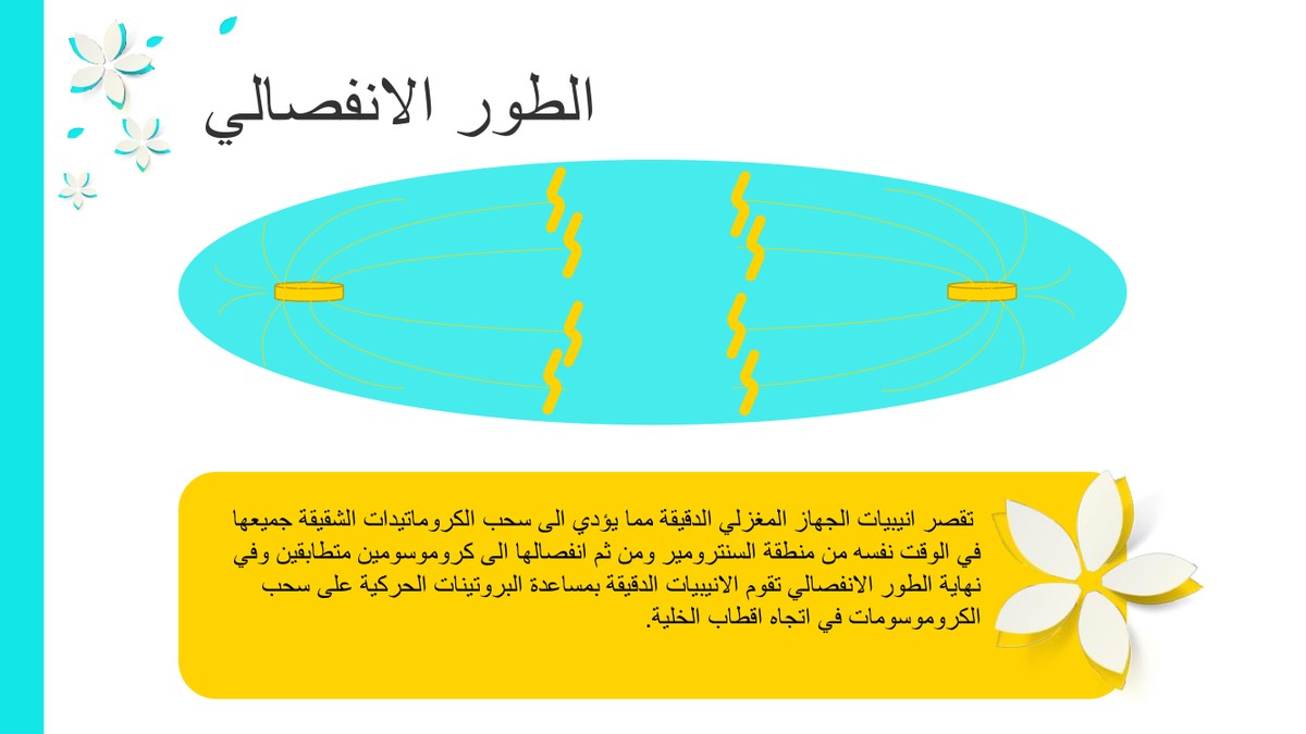 2c35ee775c1be0f5abbaa40beb9a6ef6-9