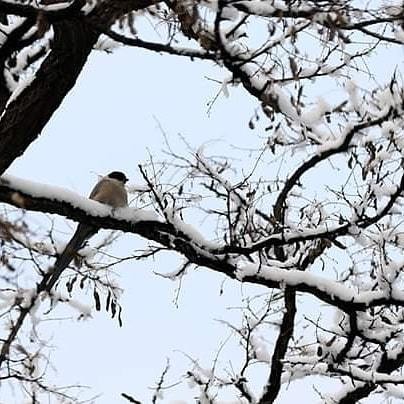 IMG_20200119_231051_692