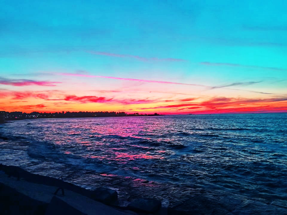 71834365_2797874176942852_6345872320812285952_n