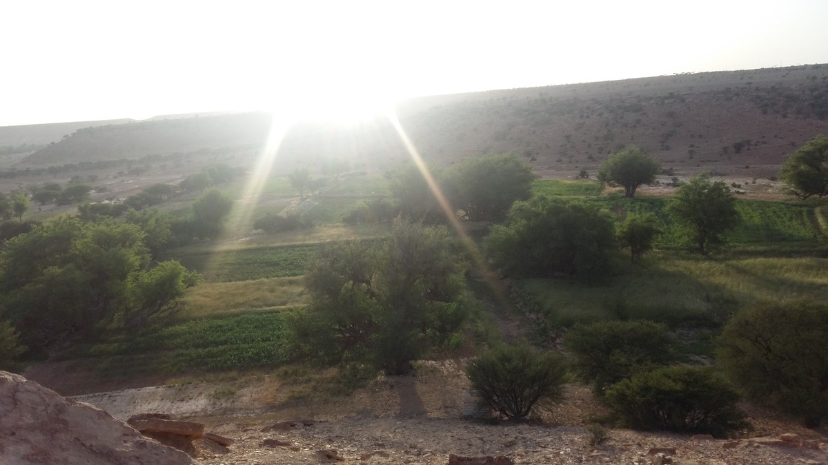 ٢٠١٦٠٦٠٧_١٧٣٤٢٩