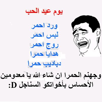 16326713300-856286785